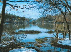 Free stock photo of autumn, fall, lake